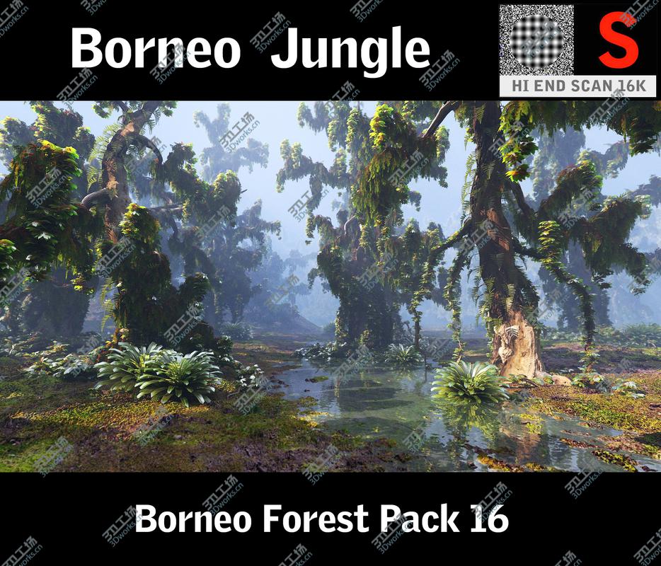 images/goods_img/20210319/Borneo Forest  HD/1.jpg